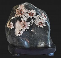 菊花石