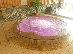 淡墨さくらの湯