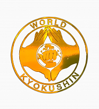 WORLD KYOKUSHIN KAI KARATE ORGANIZATION