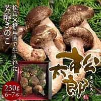 松太郎きのこ