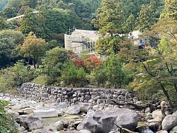HINOKI