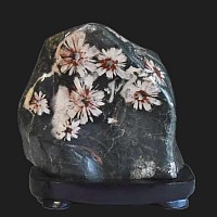 菊花石