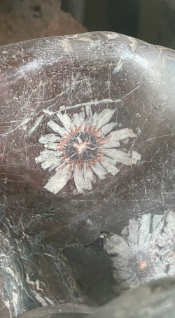 菊花石