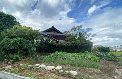 黒毛和牛